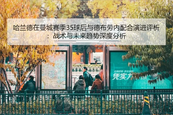 ha-lan-de-zai-man-cheng-sai-ji-qiu-hou-yu-de-bu-lao-nei-pei-he-yan-jin-ping-xi-zhan-shu-yu-wei-lai-qu-shi-shen-du-fen-xi-2-236.jpg